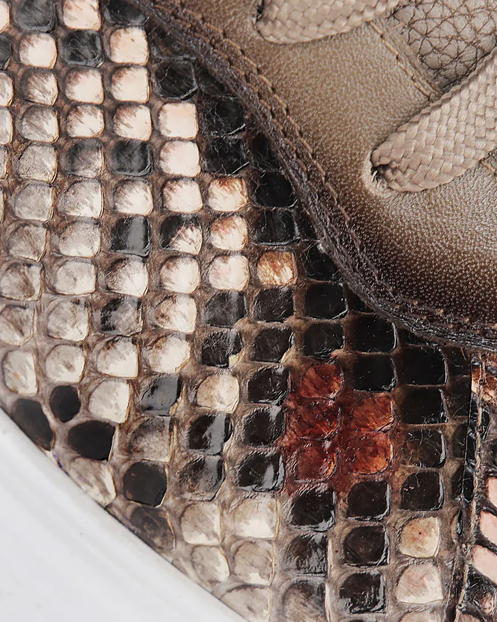 Beige full exotic sneakers 11 Beige full exotic sneakers