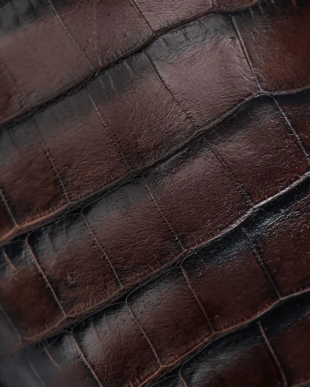 Brown Exotic Aligator Urban Boots 12 Brown Exotic Aligator Urban Boots