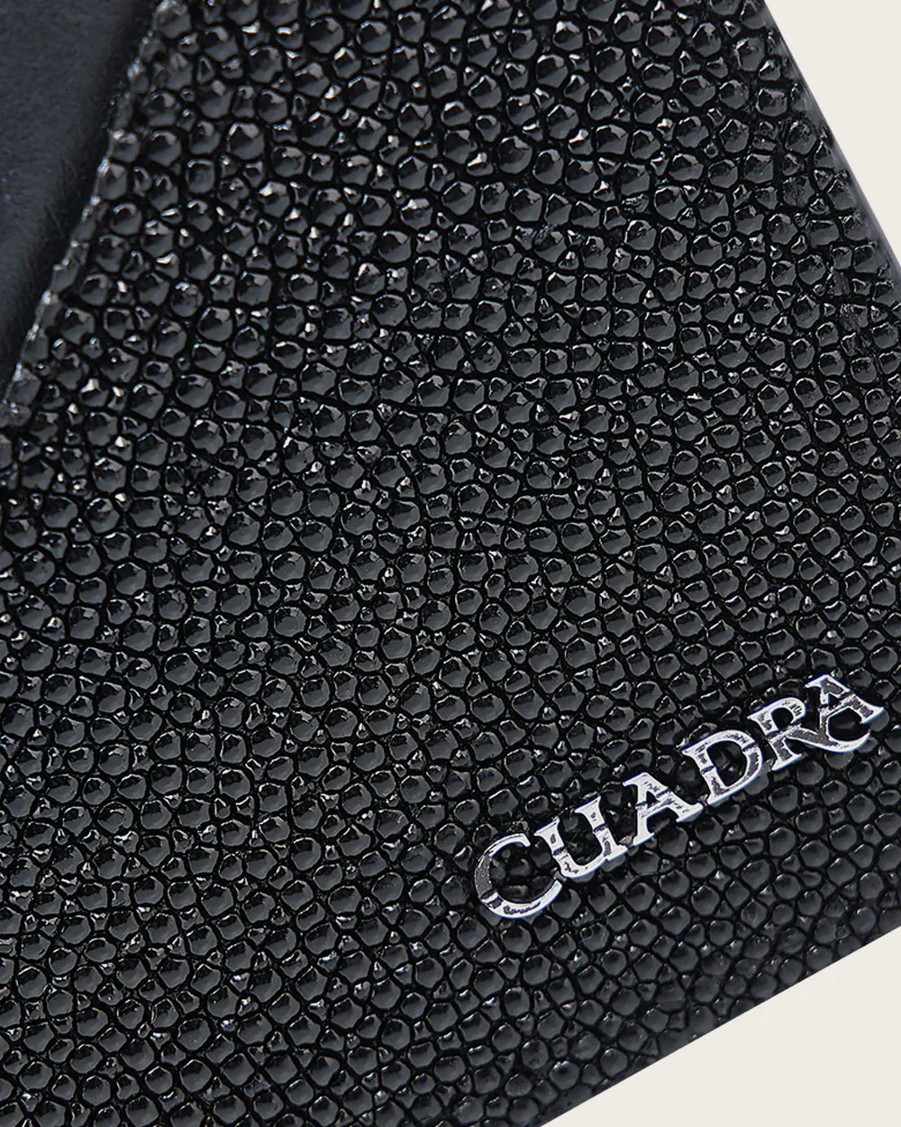 Luxury Men’s Black & Blue Stingray Leather Wallet