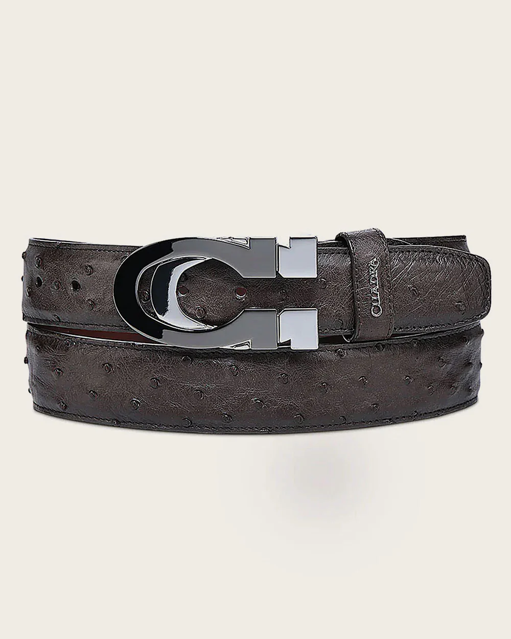 Luxury Brown Casual Belt in Genuine Ostrich Leather